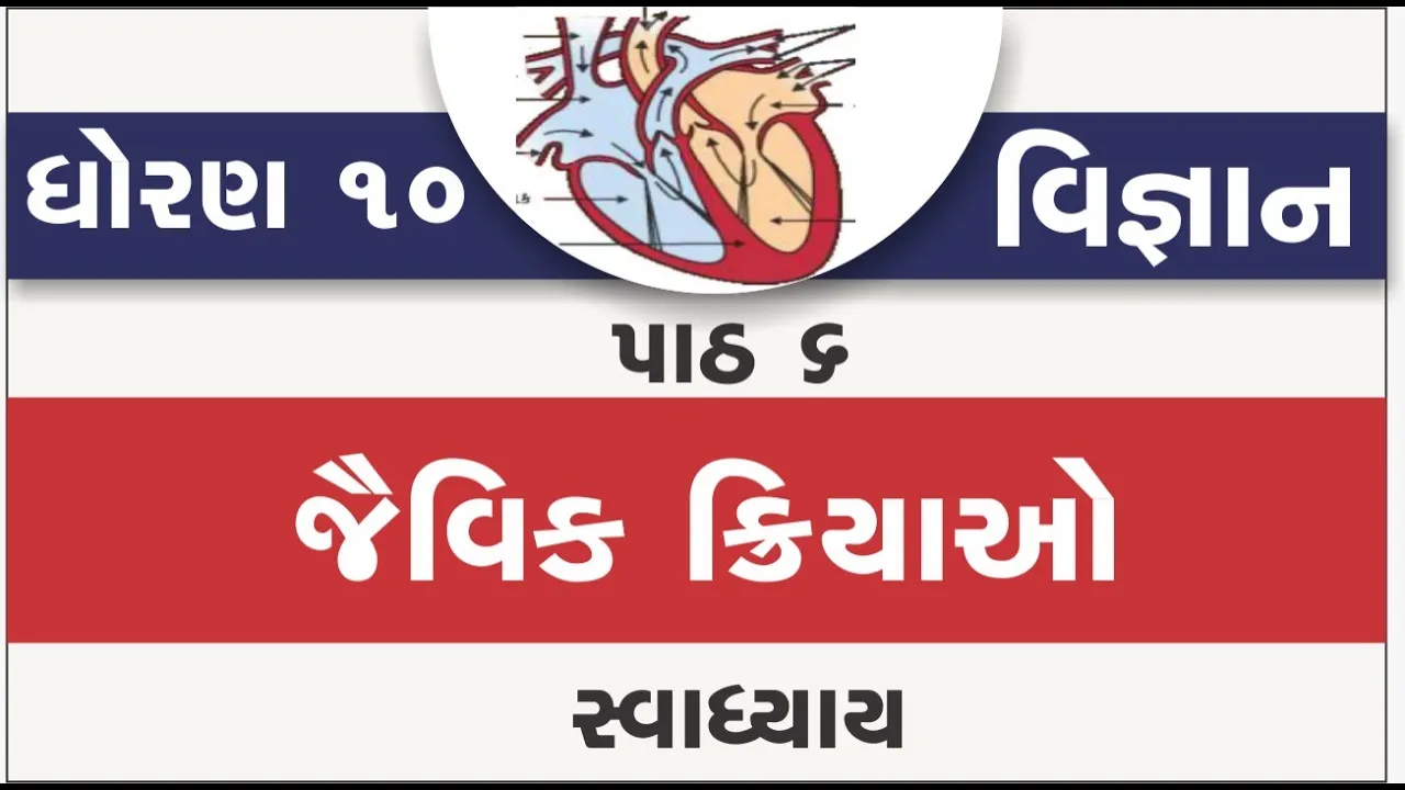 06 dhoran 10 vigyan path 6 swadhyay std 10 science ch 6 jaivik kriyao part 6 solution